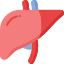 Liver Icon